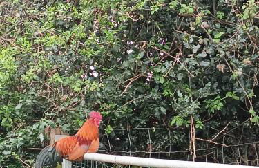 Gîte la grange - Foto 6