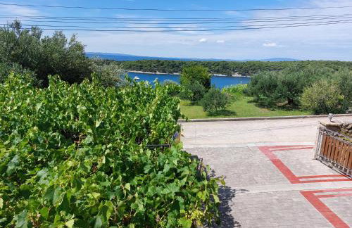 Apartments Mlacovic - Photo 61