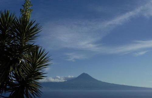 Aldeia da Encosta - Photo 30