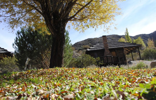 Pueblo Del Rio - Photo 11