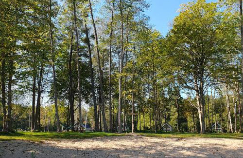 Bujanie w sitowiu - Foto 8