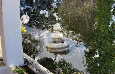 La Huerta de Chocolate Mínimo 2 años larga duración - Foto 5