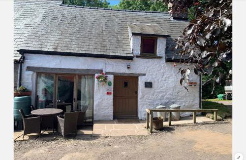 Ty Fferm Hen, Ancient Farmhouse, Coity Bach - Foto 16