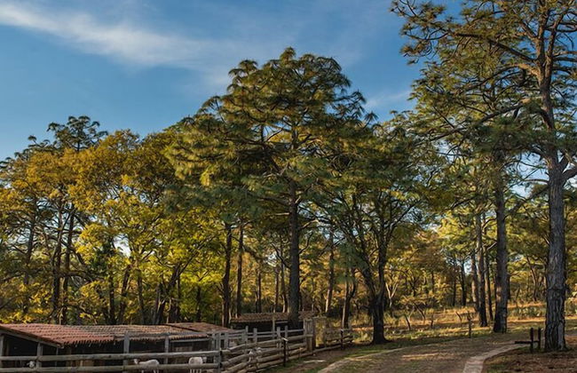 Abba Eco Adventure - Foto 10