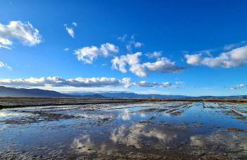 Can Carles - Delta del Ebro - Foto 54