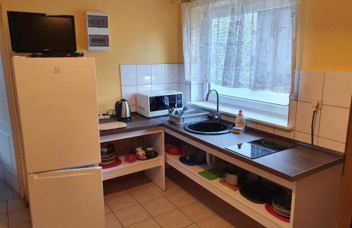 Newland Wójtowicz - Foto 8