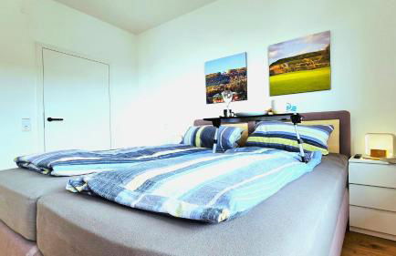 BAT Home Solutions Trierweiler - alles was ein Hotel nicht bietet - 80 qm, 3 Zimmer, 5 Personen, Terrasse, BBQ und Kino - Foto 14