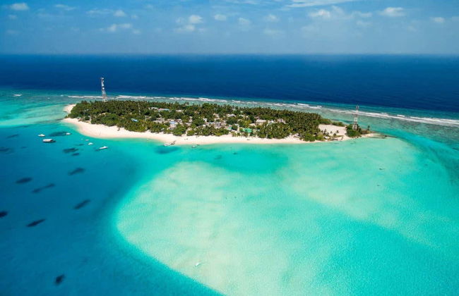 Snorkel con tiburones + Barco hundido - Foto 5