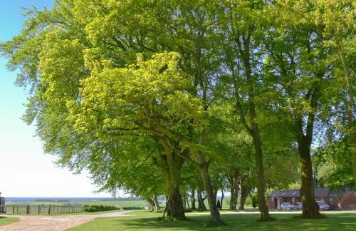 The Hind House - Foto 38