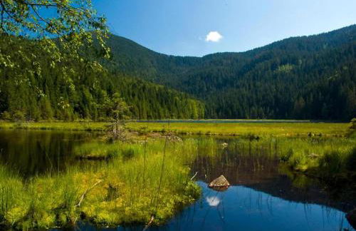 Ferienhaus in Rinchnach am Arbersee - Foto 26