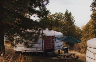 Mongolian yurt at a nature retreat - Foto 33