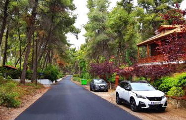 Wood and Stone Villa - Foto 4