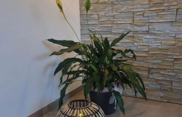 Wellness Ferienhaus - Foto 1