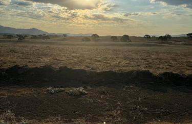 Prairie Home - Foto 22