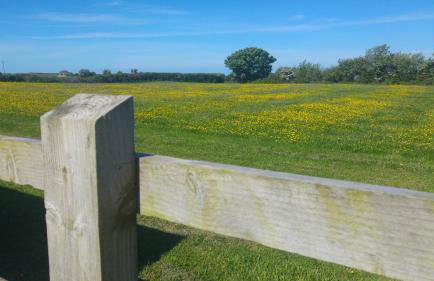The Barn at Cae Bach - Foto 45