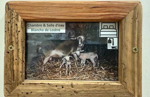 Gîte LE RABIOUZE - 4 épis, 15 pers, 22 couchages - Ancienne Bergerie rénovée, cachet d'origine conservé - Vue magnifique - Label Ecogîte - Foto 30