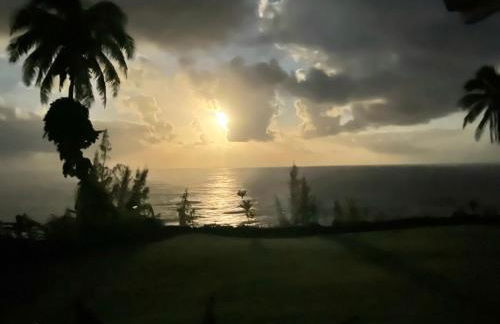 Oceanfront Treehouse at Hakalau with Kitchen - Foto 15