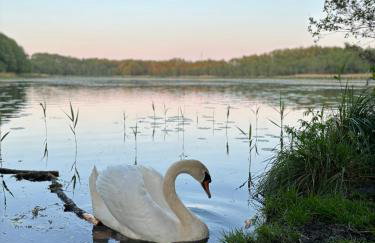 Przystań na Dobrej - Foto 33