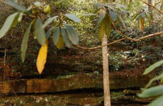 Modern Mirror Home w/ Hot-tub - “Glass House” #1 - Foto 39