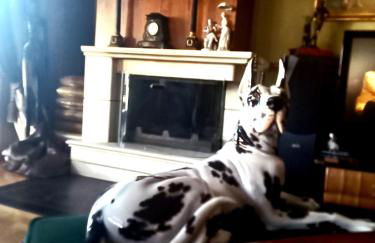 Classic Apartment With Beautiful View - Foto 11