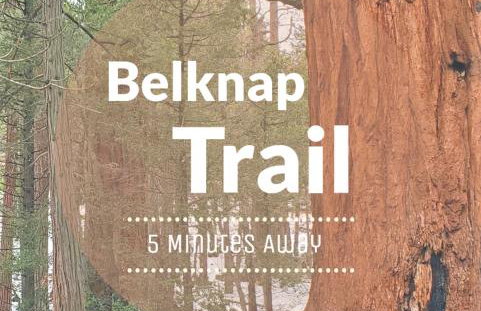 Redwood Retreat, Mountains, Adventure and Nature - Foto 51