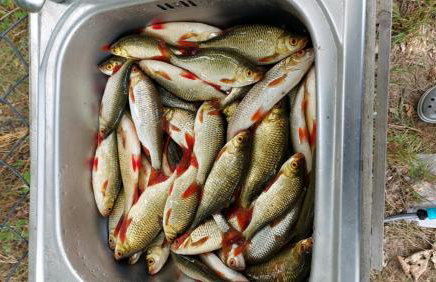 Pauza Drzewoszewo - Dom nad jeziorem - Foto 18