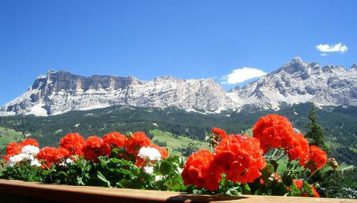 Apartments Sotbosch - Foto 5