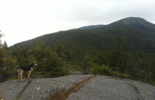 Meadow House Backcountry Residency - Foto 12