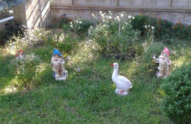 Guesthouse Adonis - Foto 76