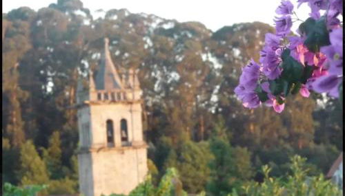 São Braz Terrace - Foto 4, Garden view