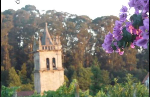 São Braz Terrace - Foto 4