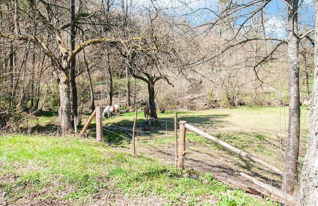 Cozy Country Stay, Stoumont - Photo 32