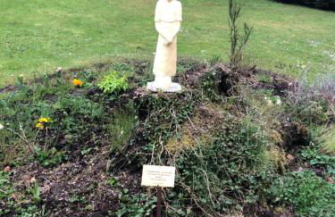 Aux Souvenirs d'Anaëlle gîtes 5 personnes - Foto 21