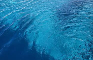 Villa Antonio - Photo 5