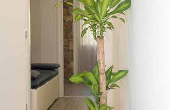 Luxury apartments Petrovac - Foto 1