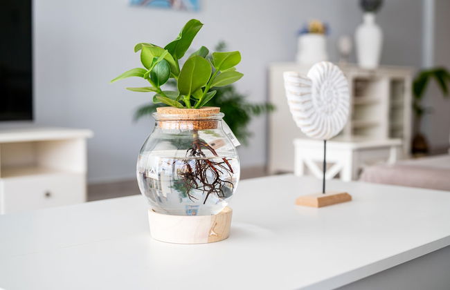 beach deluxe house - Foto 14