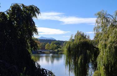 Chiemgau, Seeblick, Haus am Weinberg, 83370 Seeon Oberbayern - Photo 51