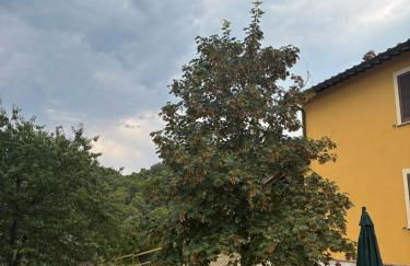 Casale dei Gelsomini - Country House - Foto 49