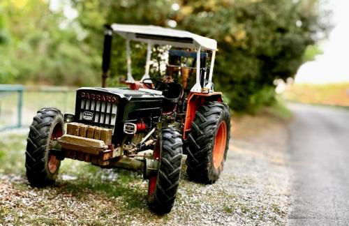 Casale Collecchio Siena - Foto 41