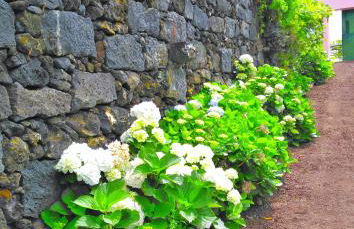 Quinta Nossa Senhora de Lourdes - Photo 30