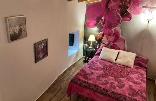 Casa do Correio - Foto 21