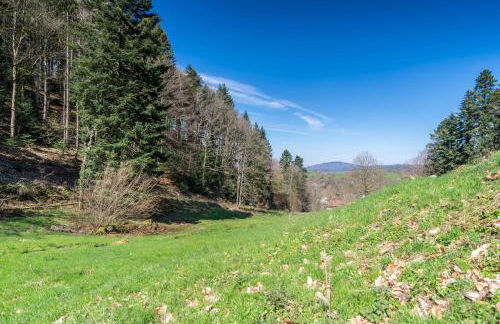 Ferienwohnung Gernsbach - Foto 27