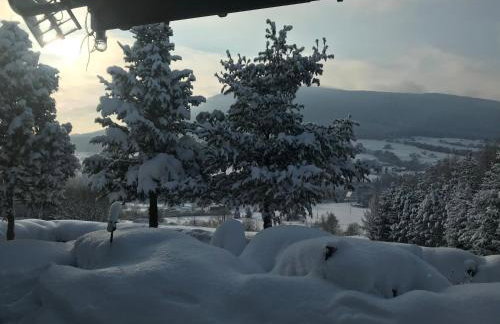 Zielony Dom - Foto 25