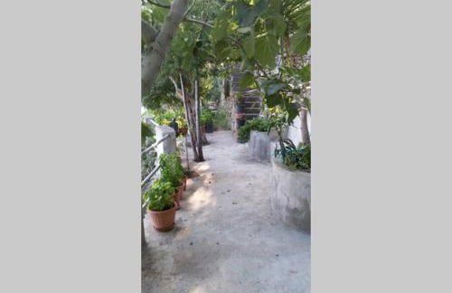 Villa Mareblu - Foto 23