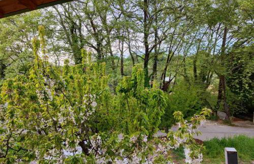 Rosso Verde Apartments - Foto 36