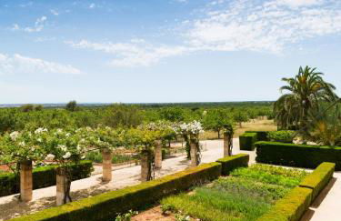 Son Bernadinet - Foto 16