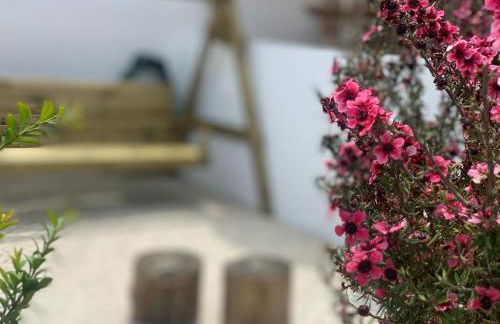 adubai Obidos - Foto 8