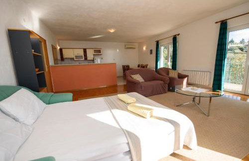 Apartman Mijo - Suhi Potok - Photo 11