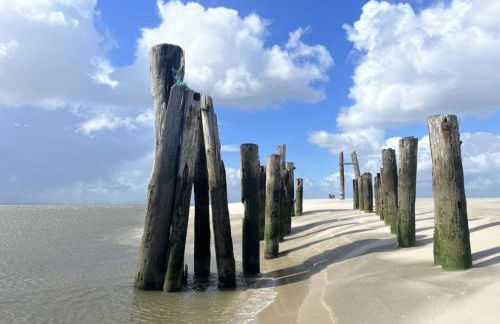 Lüttje Bernstein - Foto 28