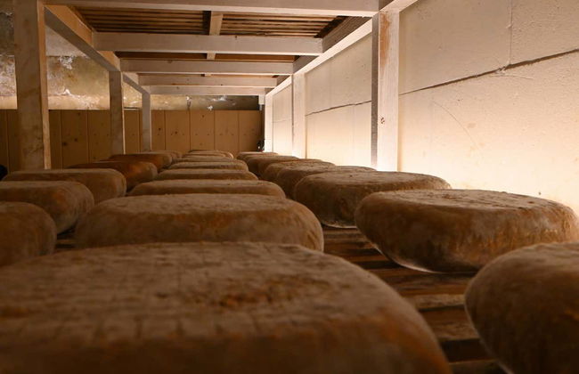 Visita a la quesería Subaida - Foto 4